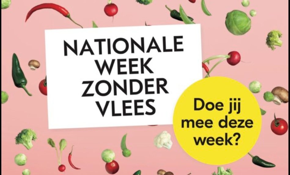Jolanda van der Hak tweet media