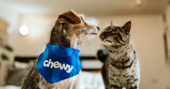 Calling all pet parents! 📣 Discover the convenience of shopping for your fur babies at Chewy. With a vast selection of top-notch products and speedy delivery, we're here to make your pet parenting journey easier and more delightful. #affiliate mavely.app.link/e/xB0RS0tYrCb