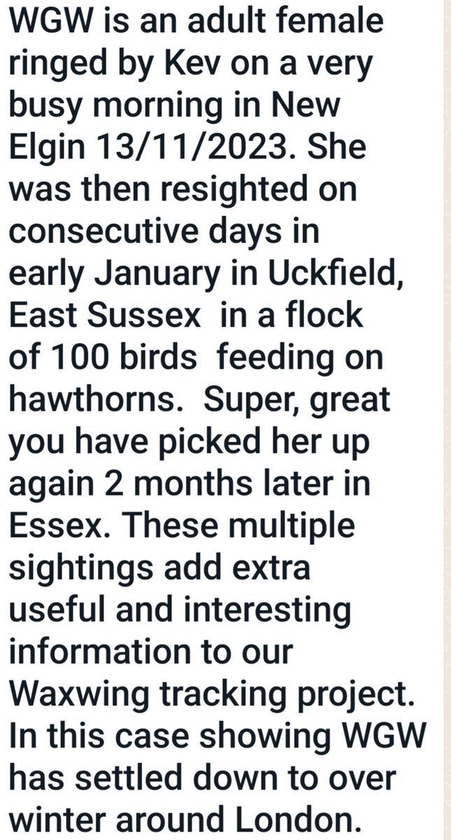 With thanks to @TheCowboyBirder for the steer, we have received the following info from the Grampian Ringing Group in respect of the ringed Waxwing spotted in Loughton yesterday.