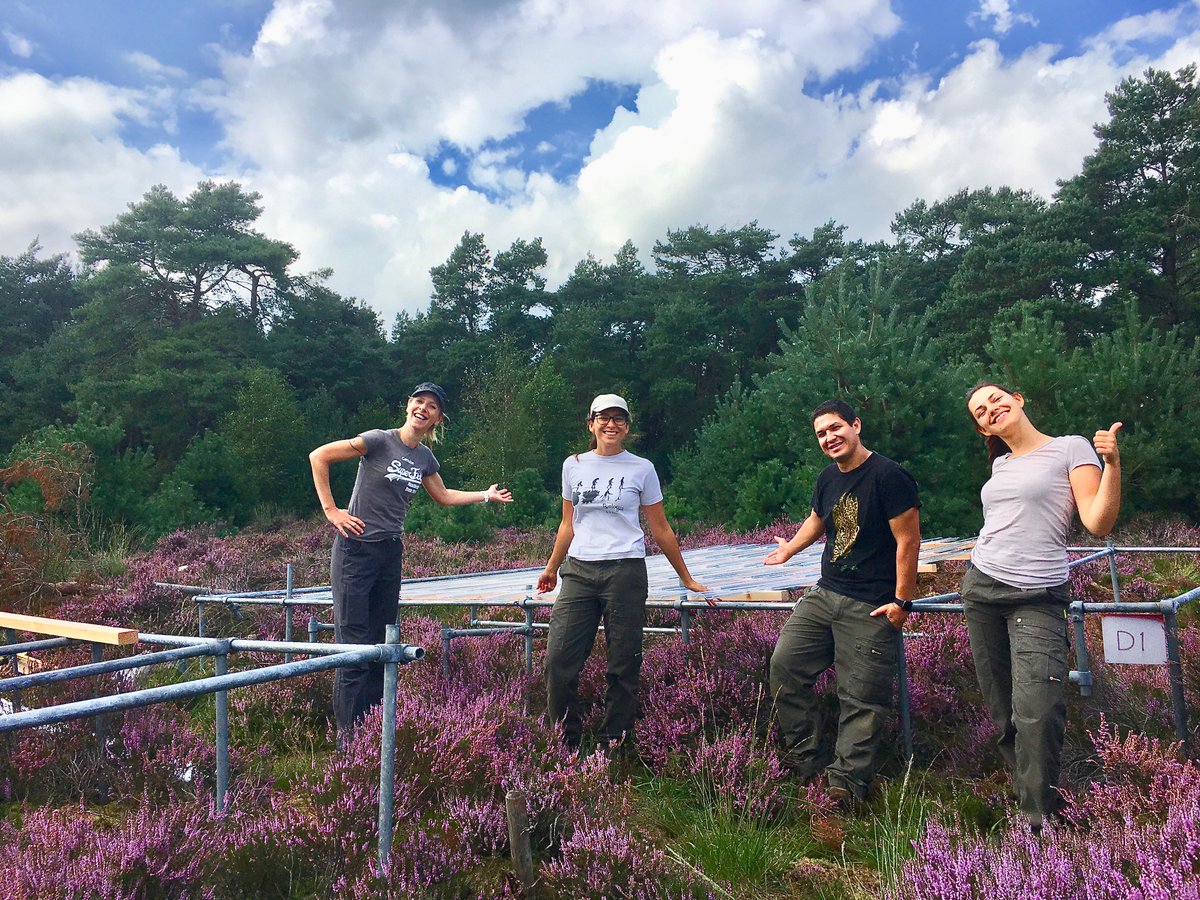 Prof. Franciska de Vries π¦ ππͺ±π±ππ (@frantecol) on Twitter photo Hurrah!! The first *data* paper from my <a href="/ERC_Research/">European Research Council (ERC)</a> Starting Grant has just been accepted, brilliantly led by @MariGliesch π
Stay tuned for how heathland management affects the impact of 15 years of summer drought on soil! Hurrah!! The first *data* paper from my <a href="/ERC_Research/">European Research Council (ERC)</a> Starting Grant has just been accepted, brilliantly led by @MariGliesch π
Stay tuned for how heathland management affects the impact of 15 years of summer drought on soil!