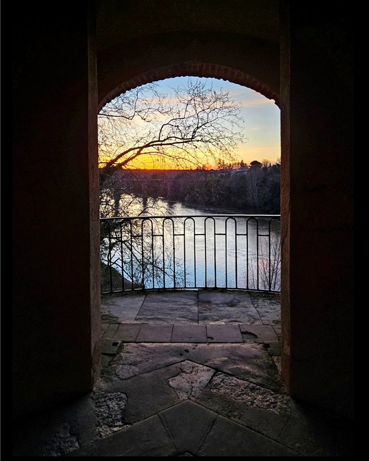 ville_albi's tweet photo. #AlbiEnPhotos
➡Voici une sélection de 4 clichés découverts via #Albi et #partageonsalbi sur Instagram.
📷 nathaliec136, eidologon, e.rgo, little_msi
On se retrouve la semaine prochaine ! https://t.co/zJYfTZfhMy