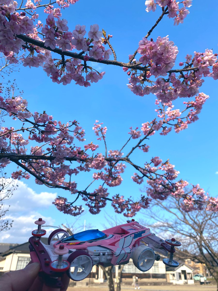 m4downtown's tweet photo. 桜が咲いていたので🌸
#mini4wd #ミニ四駆 #撮り四駆
#cherryblossom #sakuraedition https://t.co/Zic1fMOcIo