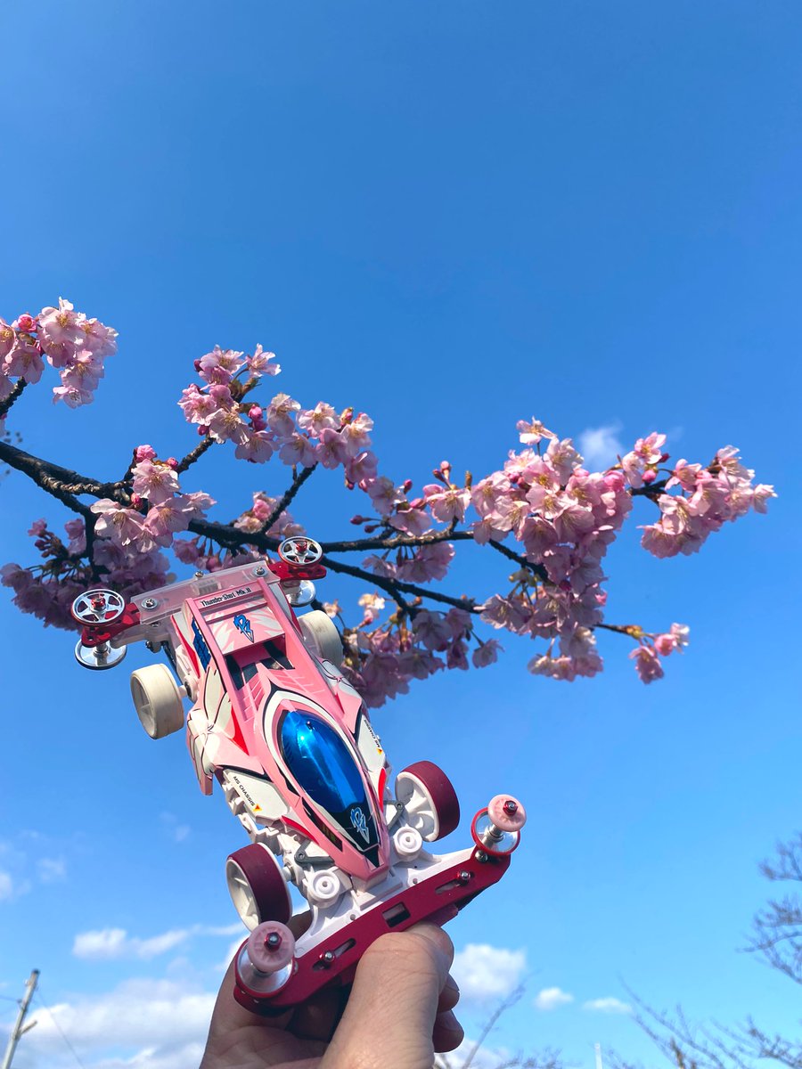m4downtown's tweet photo. 桜が咲いていたので🌸
#mini4wd #ミニ四駆 #撮り四駆
#cherryblossom #sakuraedition https://t.co/Zic1fMOcIo