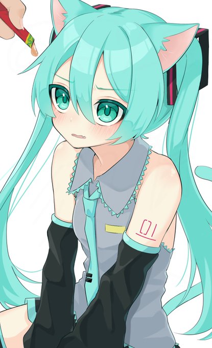 お絵描き再開!
リハビリ猫ミクちゃん🐈 