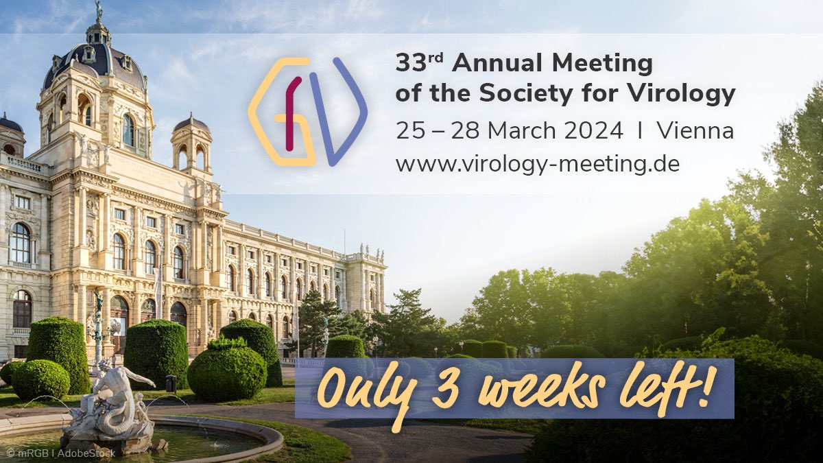 The countdown begins! Only 3 weeks until the 33rd Annual Meeting of the Society for Virology is taking place. Check the website for all current updates: virology-meeting.de #GfV #GfV2024 #virology #virologymeeting #virus #viruses