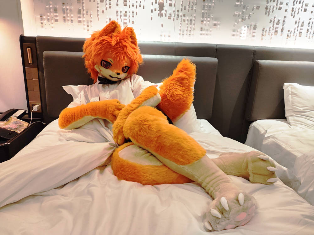 #FursuitEveryday “Do you want to sleep in together?” 内陷 ：格拉秋狐