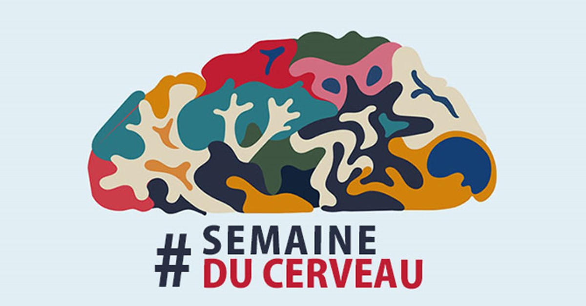 🧠La Semaine du Cerveau 🧠

🔎Venez découvrir les avancées en neurosciences dans plus de 100 villes en France, dont Caen avec l'opération Comete et des conférences sur les rêves, la mémoire et bien plus !

📅Du 11 au 17 mars

👉 Plus d'infos : unicaen.fr/evenement/sema…