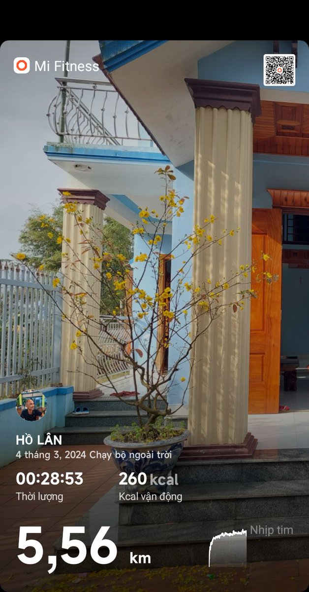Ryder_Lan's tweet photo. Nỗi năm hoa Mai nở
Biết mình già thêm 1 tuổi... https://t.co/hH19jGqfUI