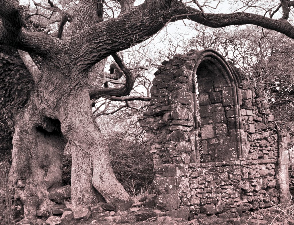 Therron Welstead tweet media