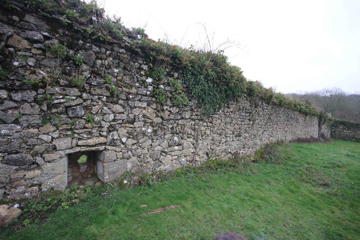 Therron Welstead tweet media