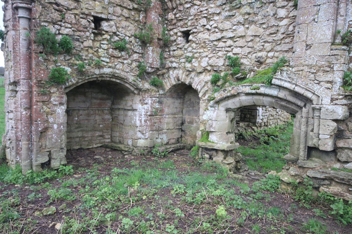 Therron Welstead tweet media