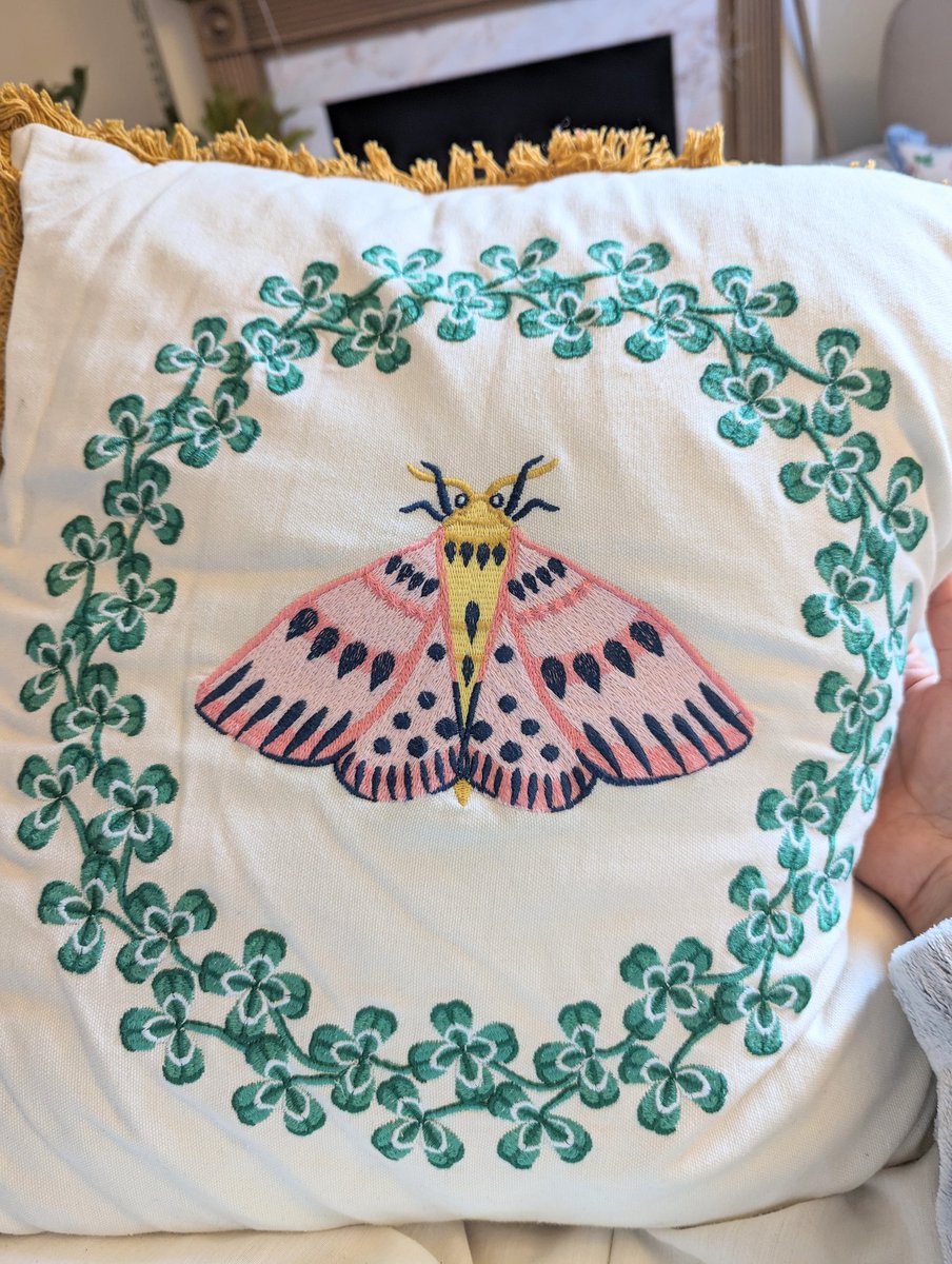 It has just occurred to me that I might have manifested my moth problem when I bought these cushions 🙄😅