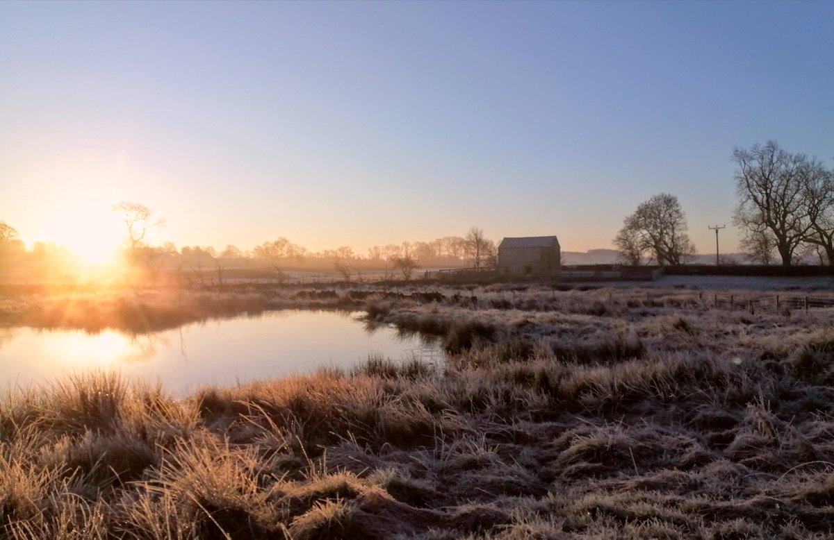 Stunning morning ❤️

#lovewhereyoulive #frost #sunrise #spring #getoutside #getoutmore #sheep #sheep365 #farming #farminglife #shepherdess #farmingneverstops