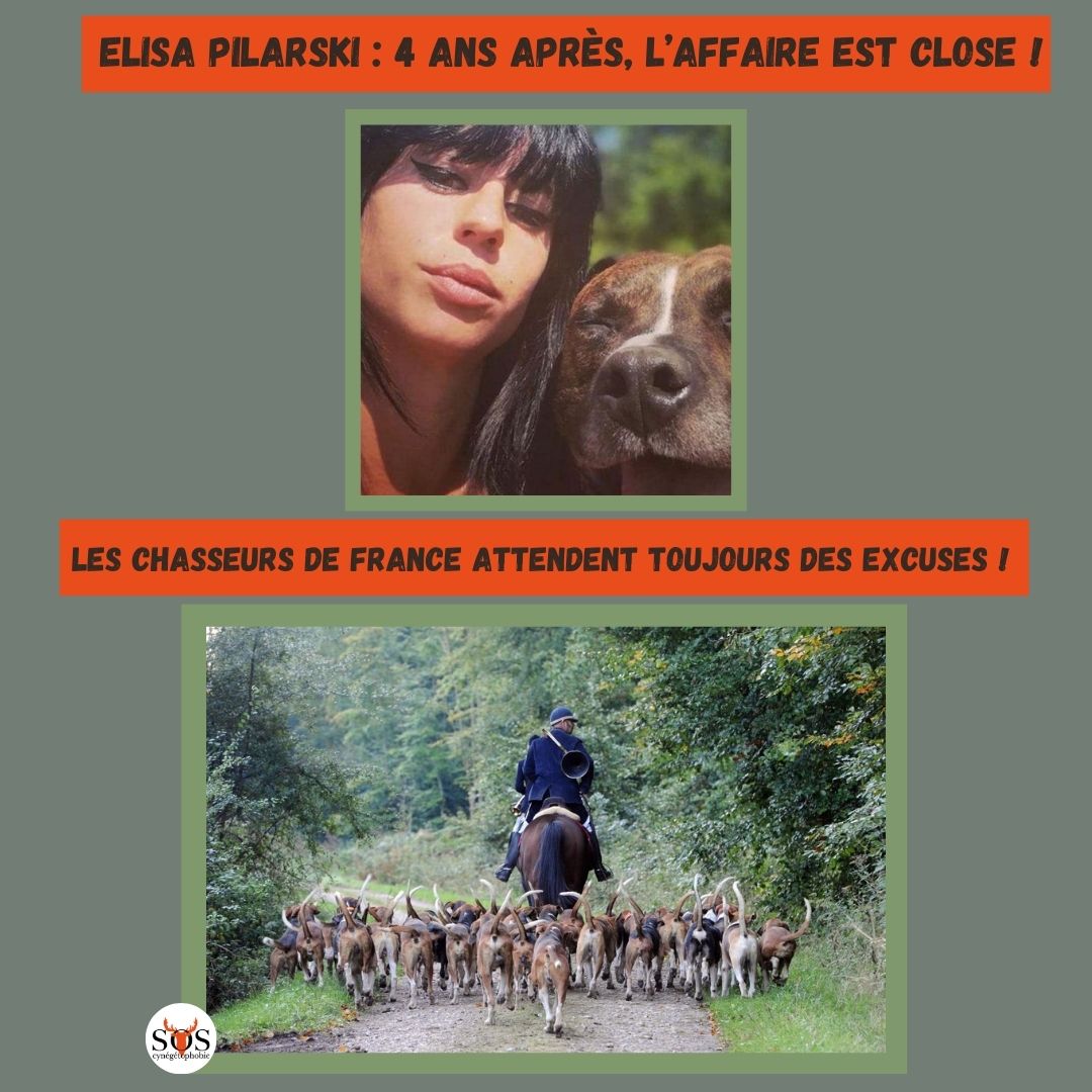 Après 4 années d’attente, le juge d’instruction a clôturé les investigations concernant le décès d’Elisa #Pilarski. Il en ressort que seul le chien #Curtis est responsable de la mort de la jeune femme… ⤵️