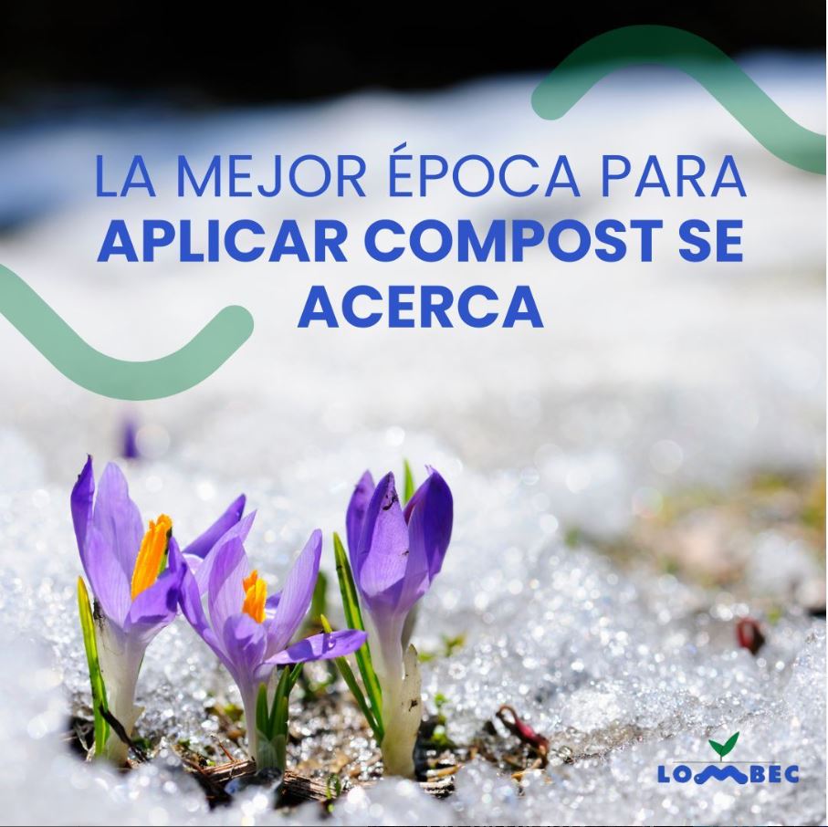 HumusLombec's tweet photo. ¡La primavera está llegando y es el momento perfecto para cuidar de tus plantas!
En Vermiculture Innovation tenemos los mejores productos de humus
📞 667 76 73 72
✉️ lombec@lombec.com
🌐 https://t.co/6CCtFkiwec

#compost #ecologico #humusdelombriz #VermicultureInnovation https://t.co/CtK1pjw83A