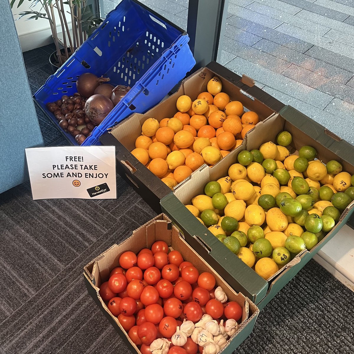 Thank you to <a href="/harvesteye/">HarvestEye Ltd</a>  for the lovely gesture this morning... FREE fruit and vegetable for all tenants!🍊🍋