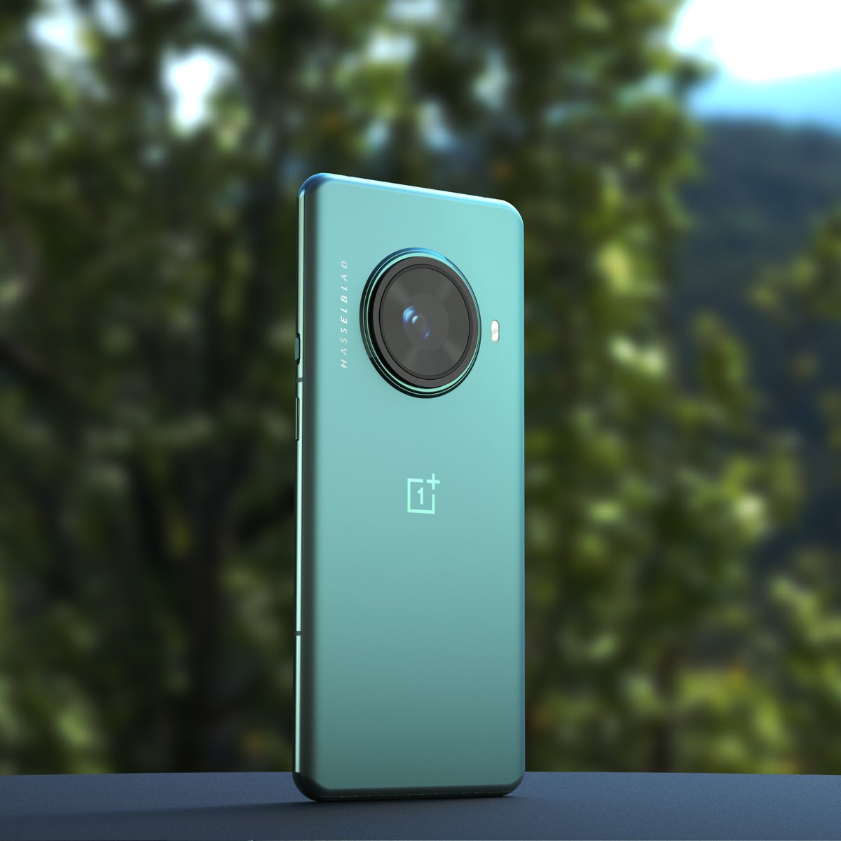 OnePlus 13