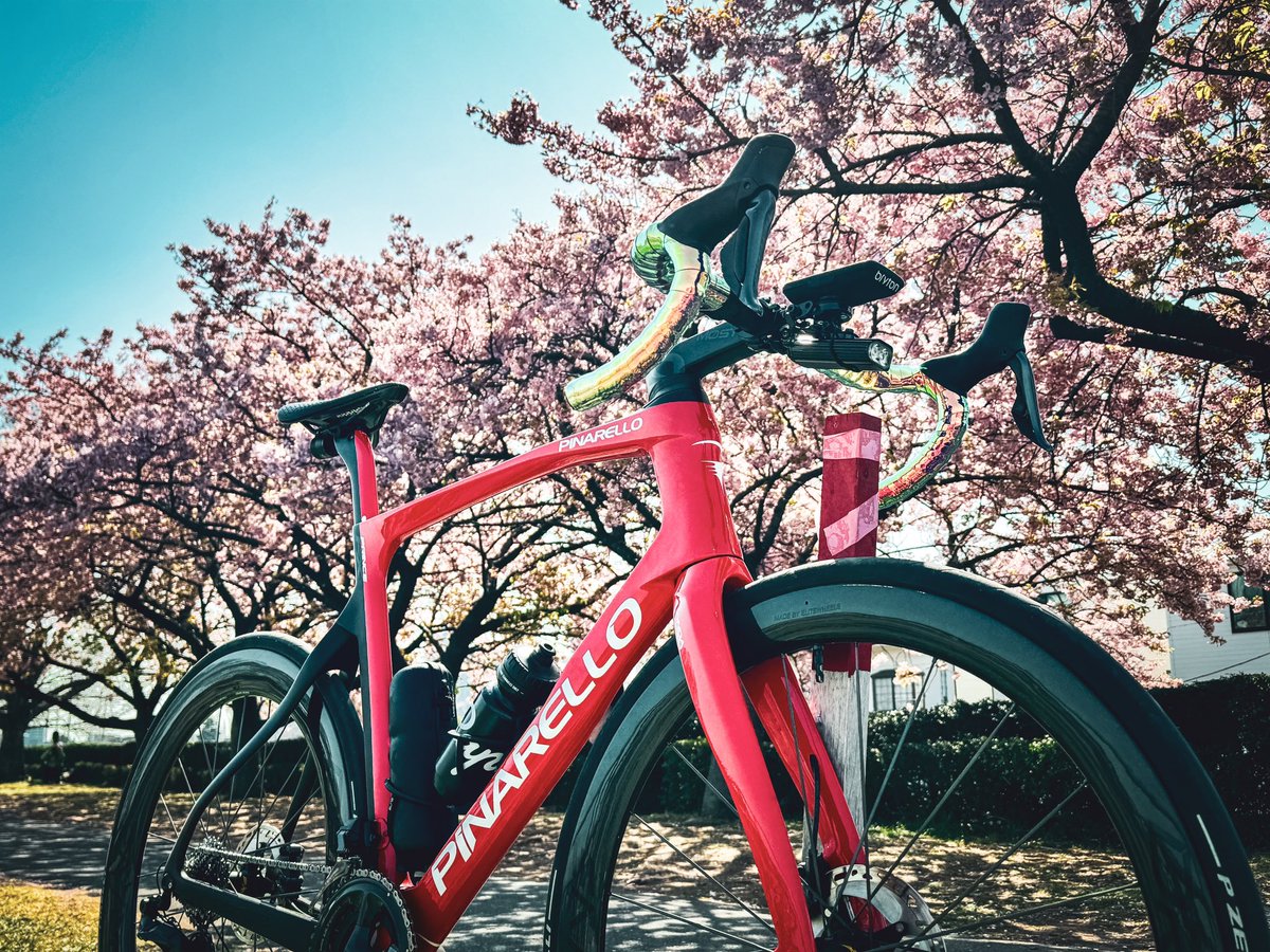 TOSHIKAZU_CORUM's tweet photo. 桜パトロール始めました♪
多摩川の河津桜は満開過ぎました
#桜パトロール #多摩川 #elitewheels #pirellipzero28c #drive50d #drive65d #supacaz #ゆるポタ探求部 #pinarelloprincefxdisk2022 #metrivale #100 #garminfenix7s #princefx2022 #pinarello #met #ロードバイク好きな人と繋がりたい https://t.co/WAkSiJbHxB