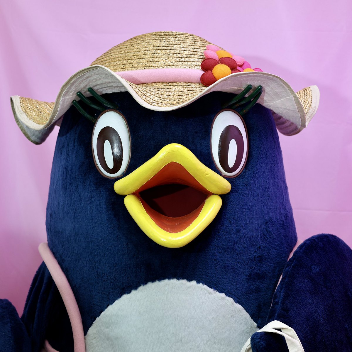 じゃぴぽのおみせやさん」に行ってきました🐧 ぴっころちゃんがかわい