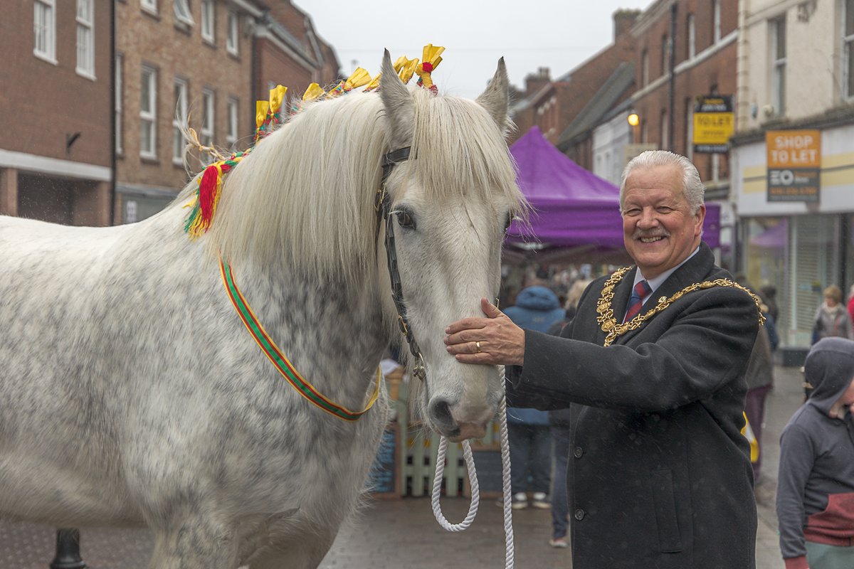 Beautiful grey gelding Shire horse Mordearg Pendragon was out and about making friends at Stone Farmers' Market last Saturday as part of promotion for our National Show this Friday, Saturday &amp; Sunday at Staffordshire Showground. Tix discounted in advance  bit.ly/2APWimn