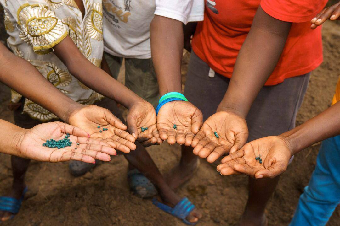 Agence Gabonaise de Sécurité Alimentaire tweet media
