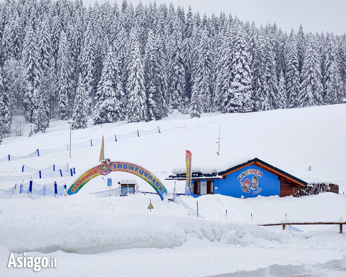 AsiagoIt's tweet photo. Proseguiamo il nostro reportage IN DIRETTA... stavolta dal RIGUGIO #CAMPOMULO! ❄💙
La #neve sta scendendo anche quassù! 🙂 Per seguire la #nevicata potete guardare le nostre #webcam #live >> https://t.co/y4kr9vSAxe
#Asiagoit #altopianodiasiago #Veneto #Gallio #montagna #snow https://t.co/wRqPuSxLsm