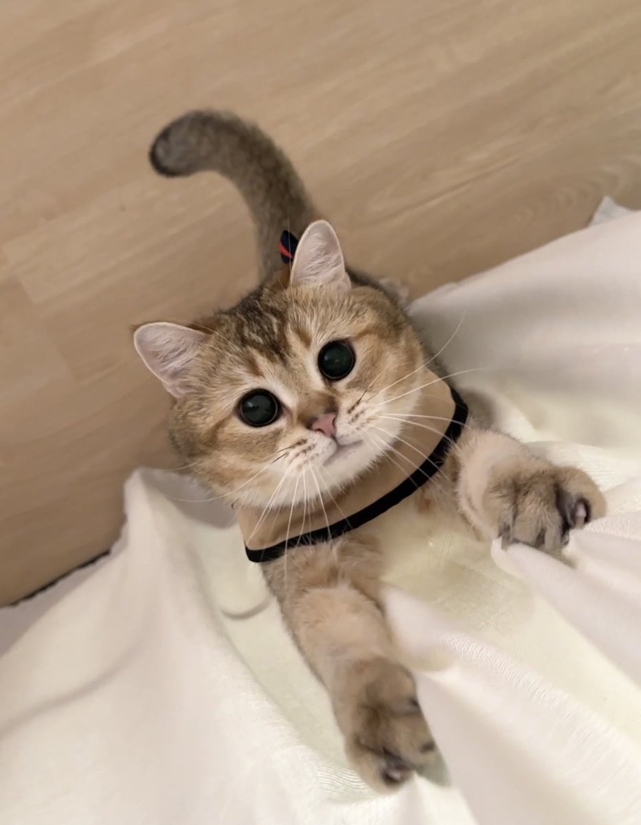 หม่ามี๊คับบบบบบ