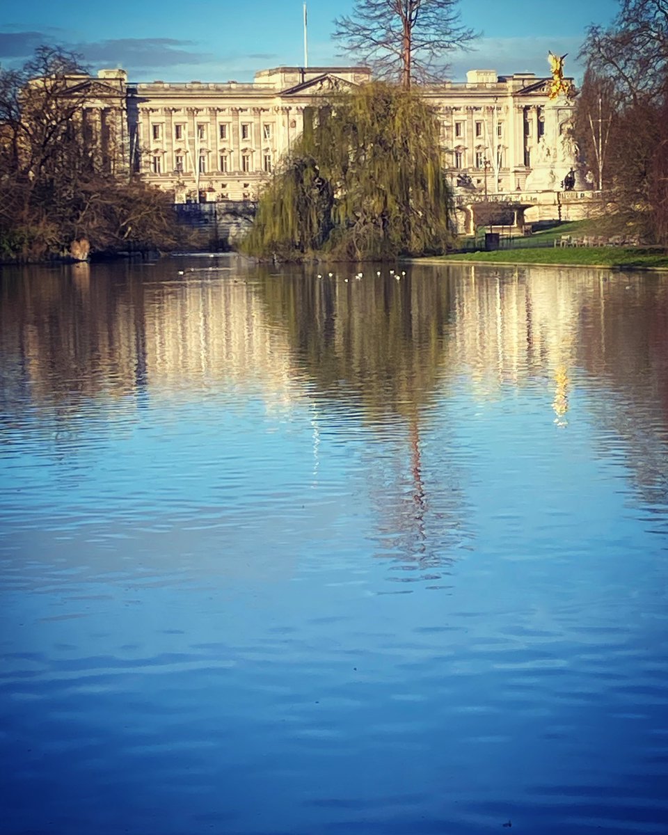 Walk through Green Park on the way back from the gym #london