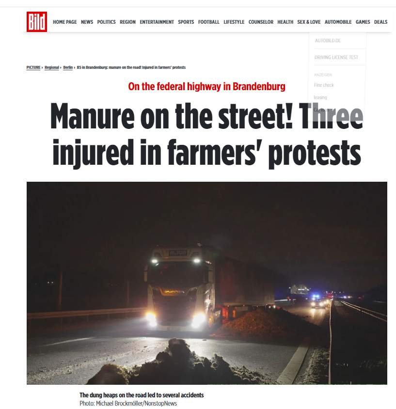 Giulio Mattioli tweet media