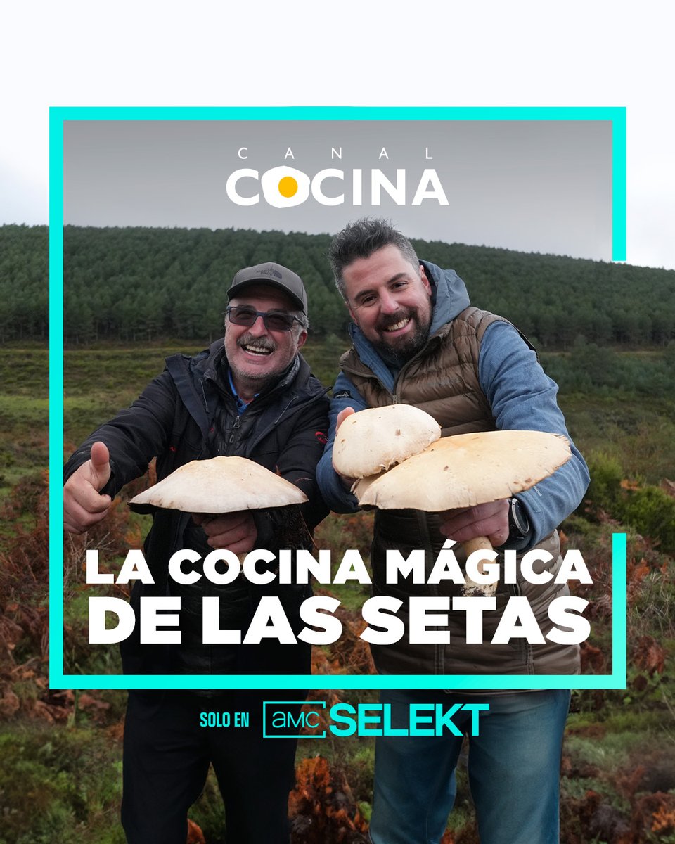 Un viaje asombroso (¡y sabroso!) por los bosques más espectaculares de España en busca de las variedades de setas comestibles con las que hacer platos espectaculares. ¿Te apuntas? 🍄😋

🍄La cocina mágica de las setas | Estreno hoy a las 23:00.