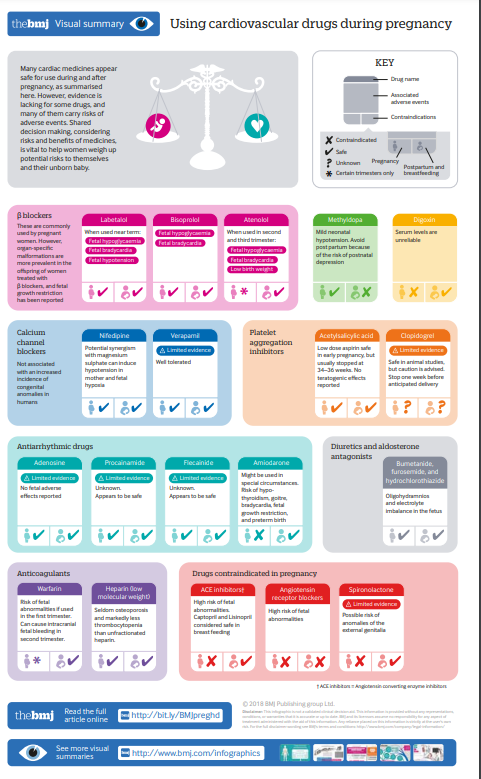 FarmaMadridAP's tweet photo. 📎 (BMJ) Infografía🖼️

💊Medicamentos de patología cardiovascular 💔en embarazo🤰🏼, posparto y lactancia🤱🏽

vía @FAPsGal 
https://t.co/QYhYZKCwri https://t.co/2DzJh6vKdY