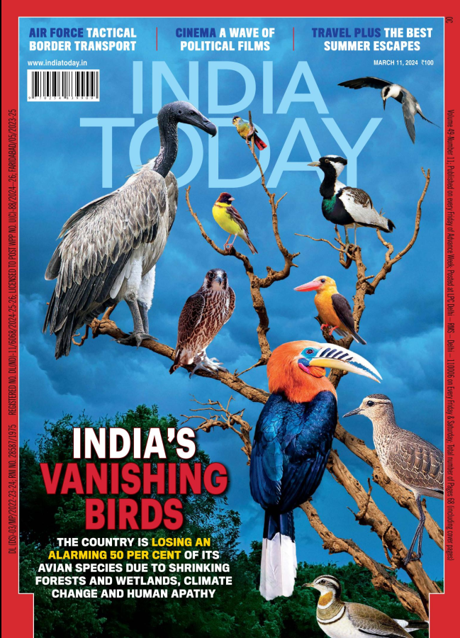 State of India's Birds (@soib_india) on Twitter photo <a href="/IndiaToday/">IndiaToday</a> publishes a cover story on the state of India's birds, drawing partly from the #SoIB2023 report.
Here is the editorial:
indiatoday.in/magazine/edito…
1/2 <a href="/IndiaToday/">IndiaToday</a> publishes a cover story on the state of India's birds, drawing partly from the #SoIB2023 report.
Here is the editorial:
indiatoday.in/magazine/edito…
1/2