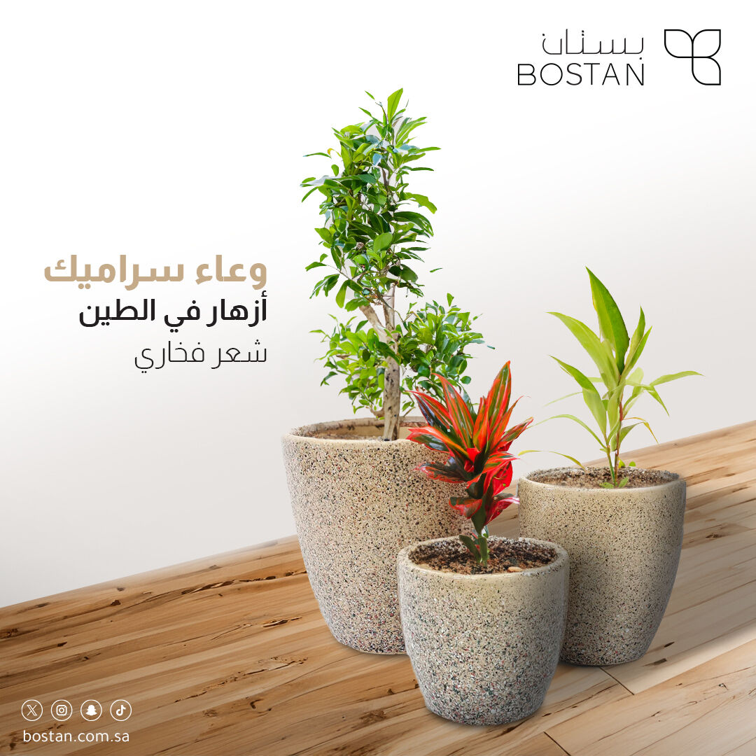 ourbostan's tweet photo. تصميم خالد - مصنوع بعناية فائقة بالتفاصيل، هذا الوعاء الخزفي يكمل أنماطًا مختلفة، مما يوفر جاذبية دائمة. 

#أواني #أواني_النباتات #سيراميك #ديكور_منزلي #إطار #نباتات_طبيعية #نباتات_داخلية #نباتات_منزلية #نباتات_ديكور #نباتات_مكتبية #ديكور #الرياض #المملكة_العربية_السعودية #نباتات https://t.co/YFp97E2cVf