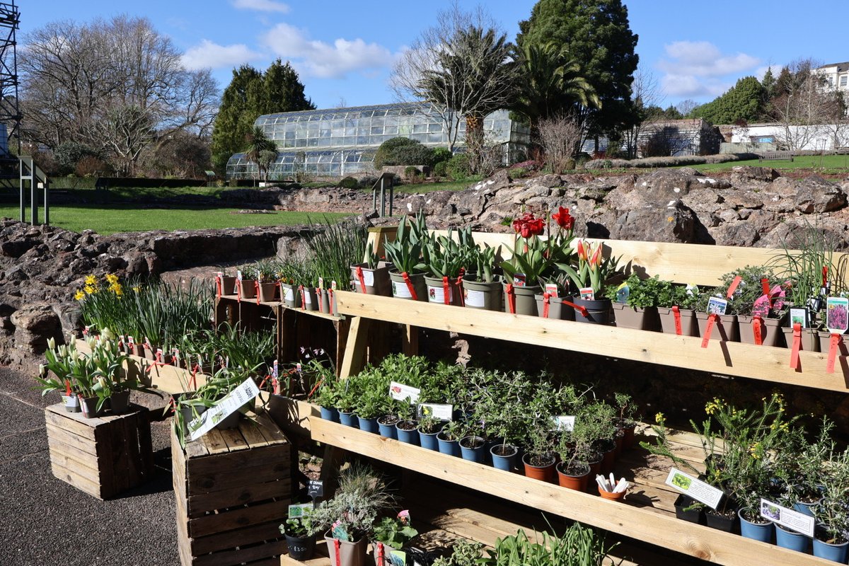 Torre Abbey tweet media