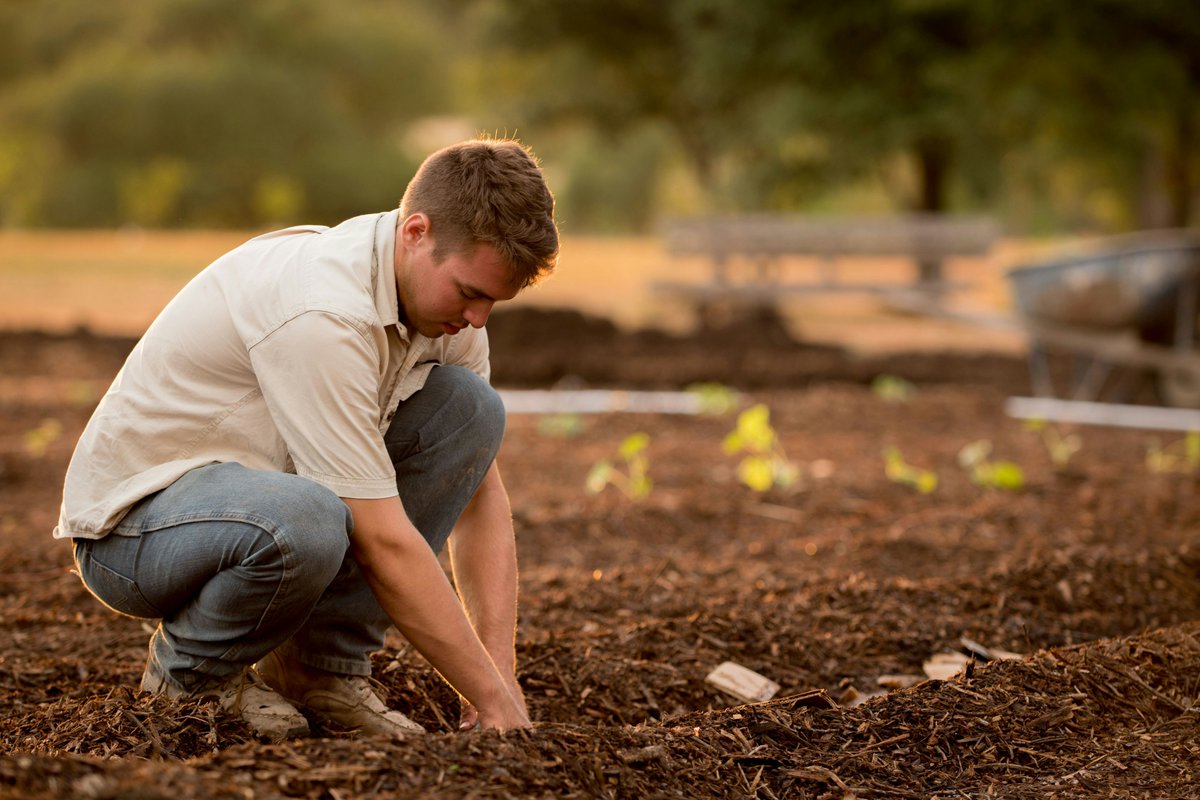 🌱💼 Attention Rural Businesses! 💼🌱

🔍 Discover how to transform your business with the latest grant schemes and support opportunities! Explore the Rural Ngage hub - your ultimate resource for rural business support. orlo.uk/vor9T

#RuralBusiness #Grants #Support