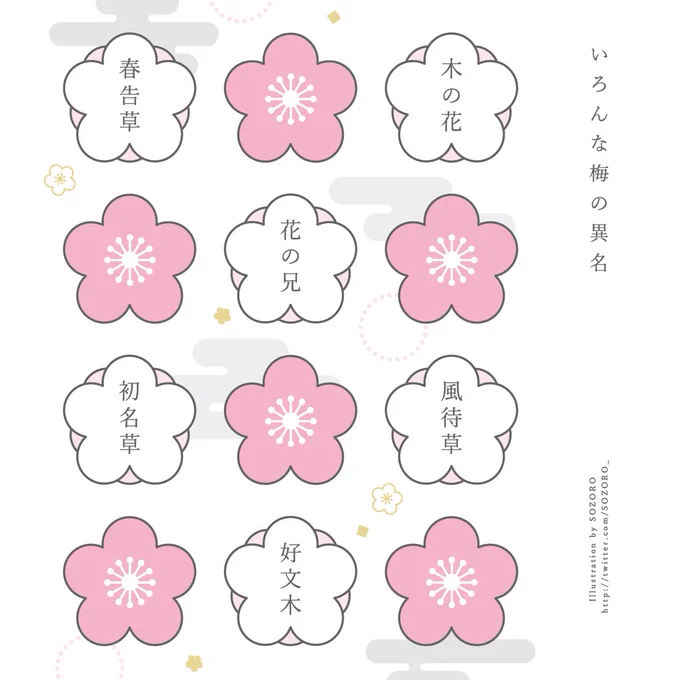 いろんな梅の異名 