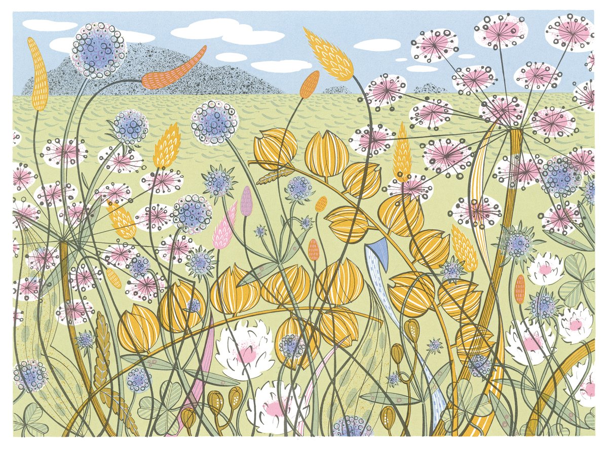 Win a copy of my 'Machair' screenprint in this @bookshop_org_uk competition... bit.ly/wildflowers_co…