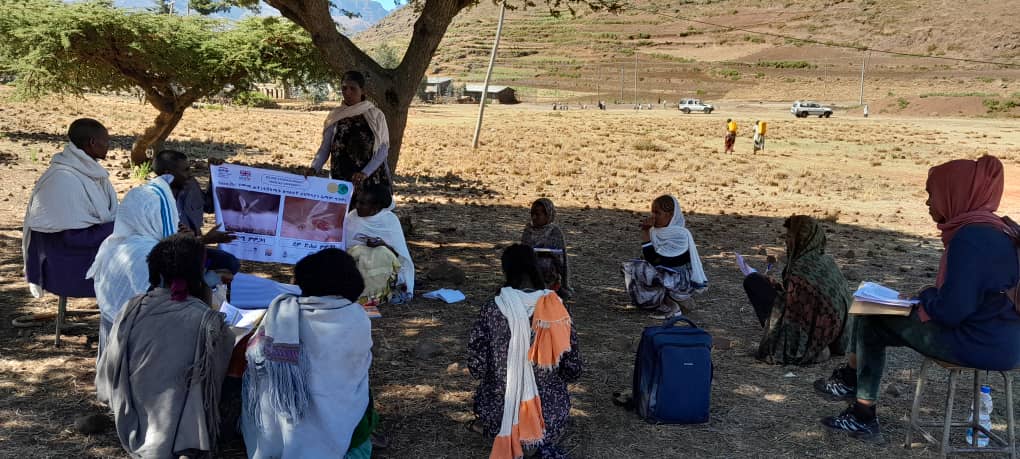📰Updates from Ethiopia Here's a glimpse of #WeAreECLIPSE Ethiopia team providing a series of training for grassroots communities to raise CL awareness and reduce stigma #BeatNTDs #CutaneousLeishmaniasis #NIHR @MebrahtenGM @afeworkmuluget1