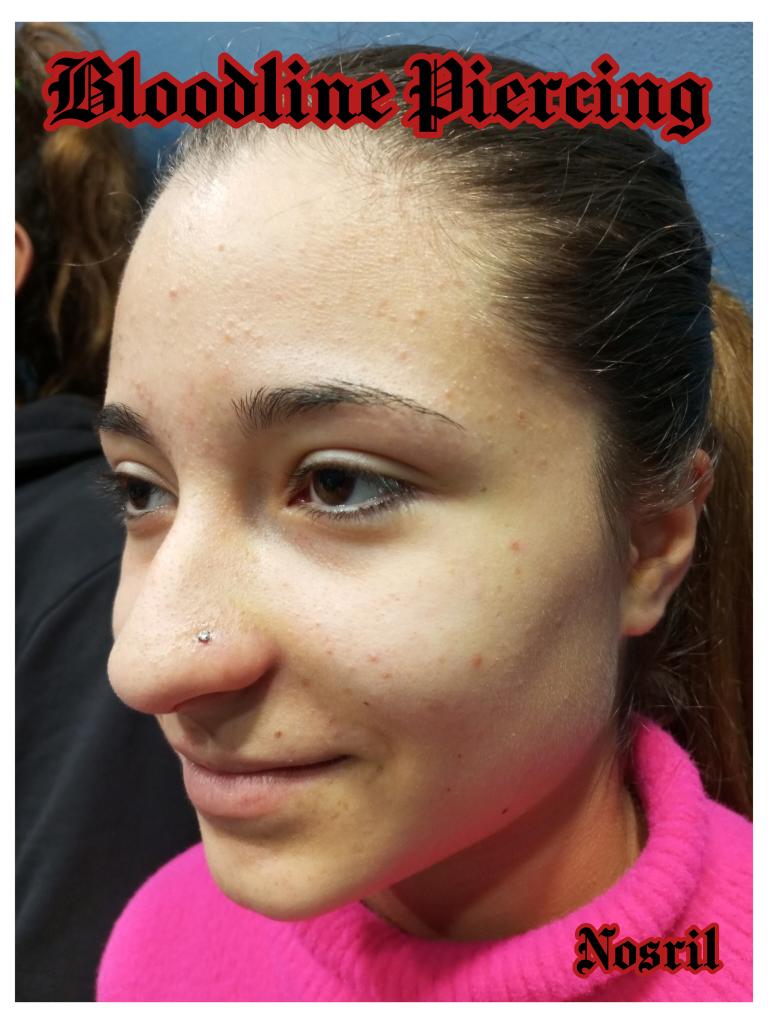 SimoneZabardi's tweet photo. Bloodline Piercing at Black V Tattoo Artist studio, Ferrara, Via Bologna 179. Tel. 347 8399834 Zaba piercer/ Tel 349 8414926 Vale Tattoo https://t.co/xUC1Bk13E5