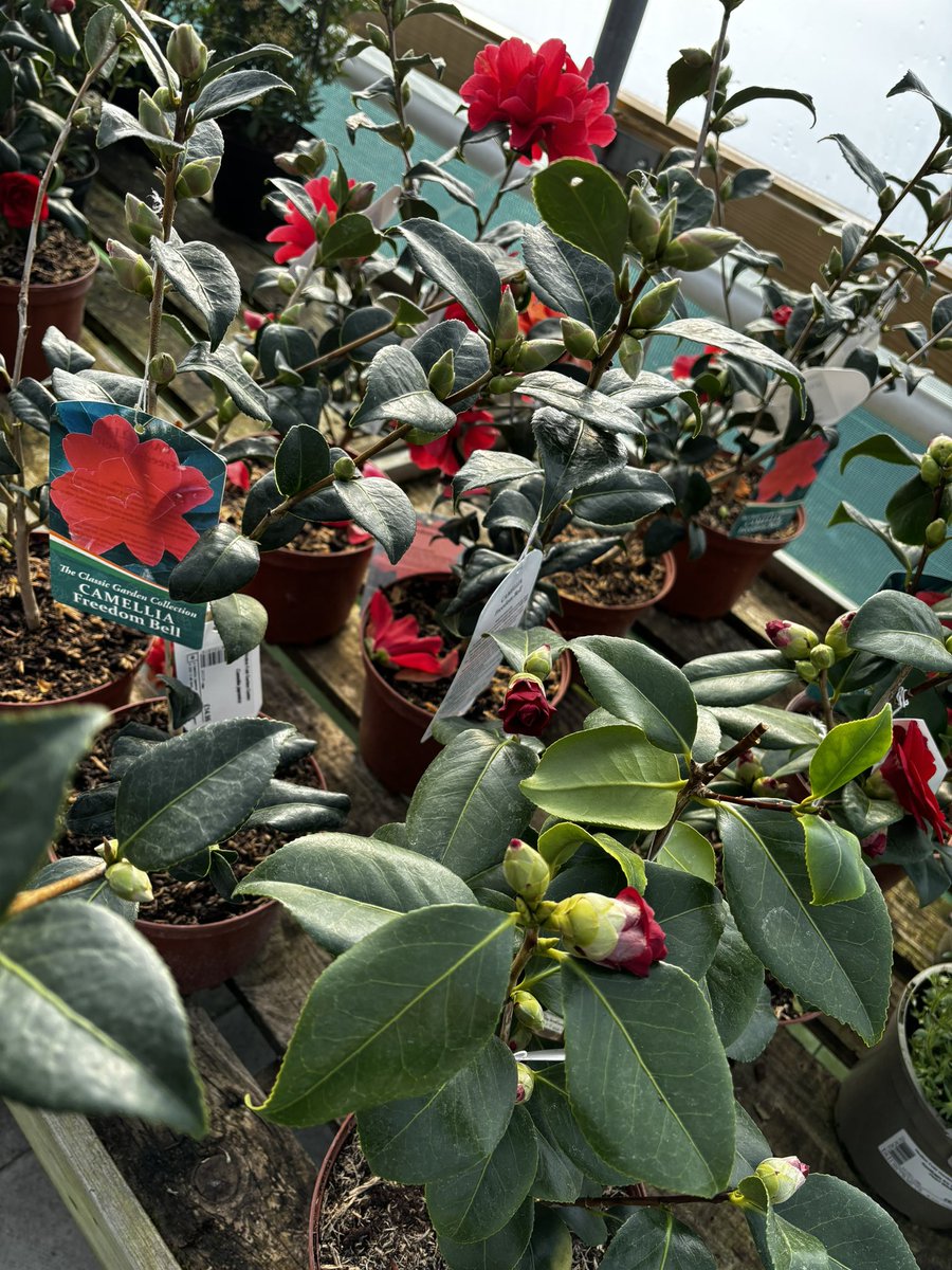 Heaton Fold Garden Centre and Cafe tweet media