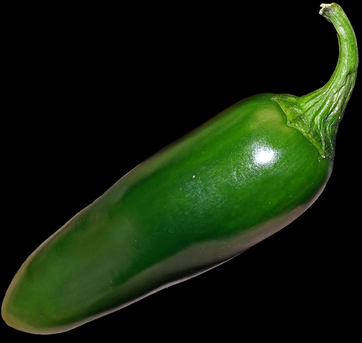 Gareeb Scientist tweet media