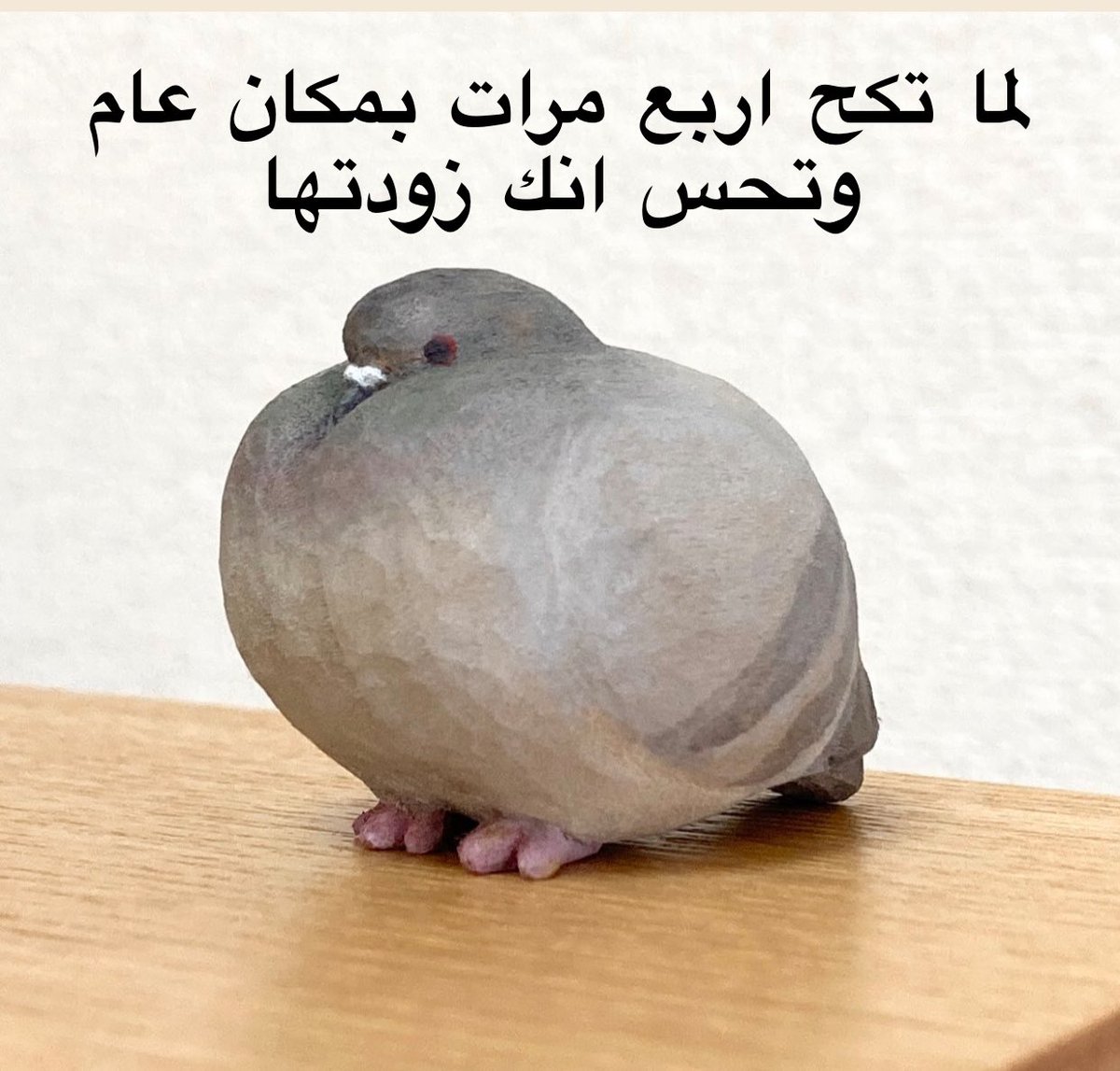 i14nn's tweet image. 