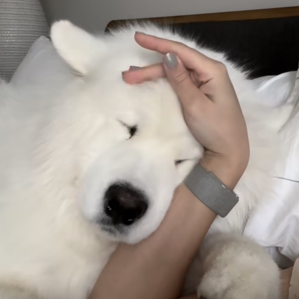 อยากให้เบบี๋ลูบหัว