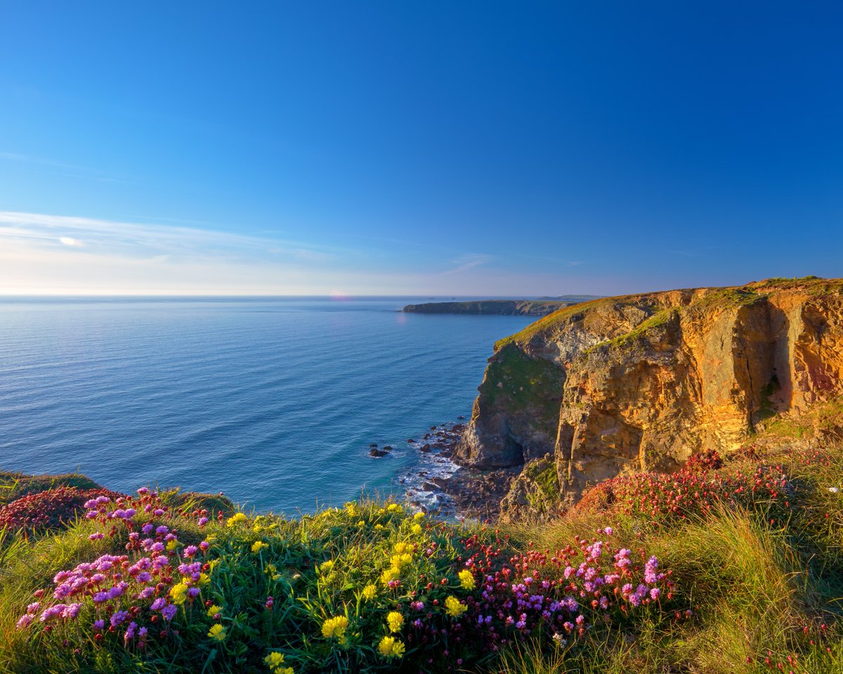 🌸 Explore the Blossoming Beauty of Devon and Cornwall with South West Camper Hire! 🚐✨

Hey, fellow adventurers! Spring has sprung, and there's no better time to take an incredible journey through the enchanting landscapes of the South West. 

We have availability for March ...