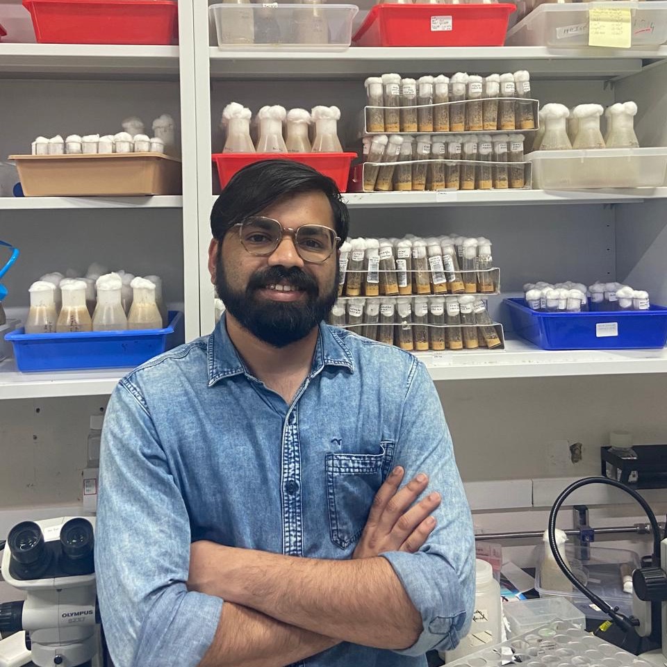 TIFR Hyderabad (@tifrh_buzz) on Twitter photo Congratulations to Aravind H (graduate student, <a href="/Manishj29/">Manish Jaiswal</a>'s lab) on receiving the Best Poster Award at the Indian Society of Developmental Biologists Meeting <a href="/InSDB_79/">Indian Society of Developmental Biologists</a>, 2024, organised at the <a href="/BLiSC_India/">Bangalore Life Science Cluster (BLiSC)</a>. Congratulations to Aravind H (graduate student, <a href="/Manishj29/">Manish Jaiswal</a>'s lab) on receiving the Best Poster Award at the Indian Society of Developmental Biologists Meeting <a href="/InSDB_79/">Indian Society of Developmental Biologists</a>, 2024, organised at the <a href="/BLiSC_India/">Bangalore Life Science Cluster (BLiSC)</a>.