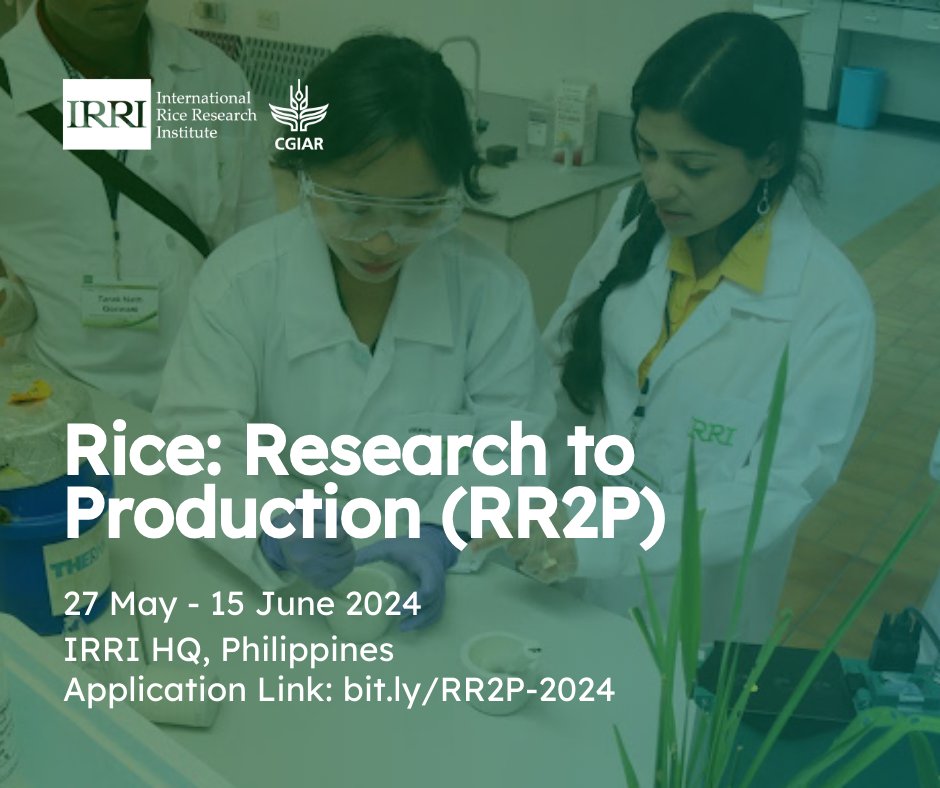 Exciting training courses ahead! 

Don't miss out on these opportunities in rice-based agri-food systems 🌾🚜🕹️📝📊

Email us at education@irri.org for more information

#IRRI #IRRIEducation #ShortCourses #AgriCourses @irri @CGIAR @JoannaKP