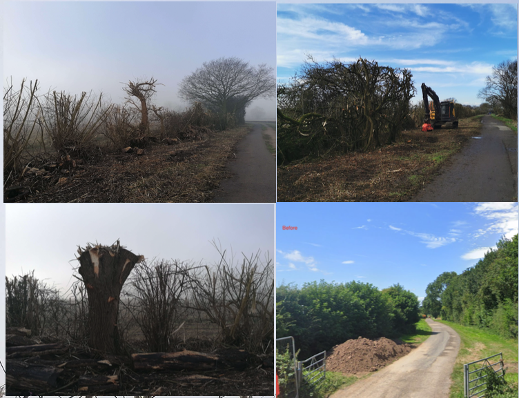 😱Has the apocalypse happened overnight?  No someone with a JCB destroying trees,nesting birds and all the rest of the habitat along the Moor Lane Bridleway. BTW Its illegal to fell trees with active nests in. <a href="/CityofYork/">City of York Council</a> shame on you! <a href="/theyorkmix/">YorkMix</a> <a href="/DefraGovUK/">Defra UK</a> <a href="/TreemendousYork/">TreemendousYork</a>