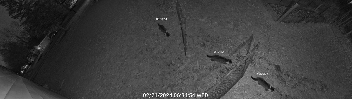 ReolinkTech's tweet image. Wondering about the real performance of #ReolinkDuo3?
📷Check the cool reviews from our community members:
reolink.club/FBGDUO3Review-…
Credit: Blake Gray, Mike Blaser