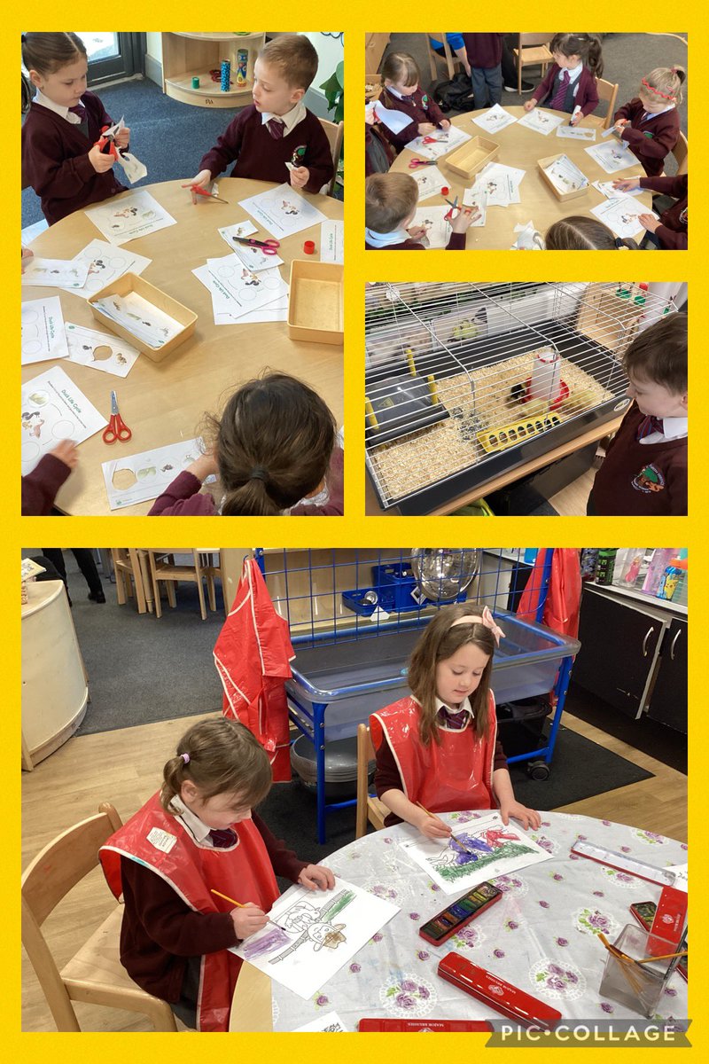 RTPS_EYFS tweet media