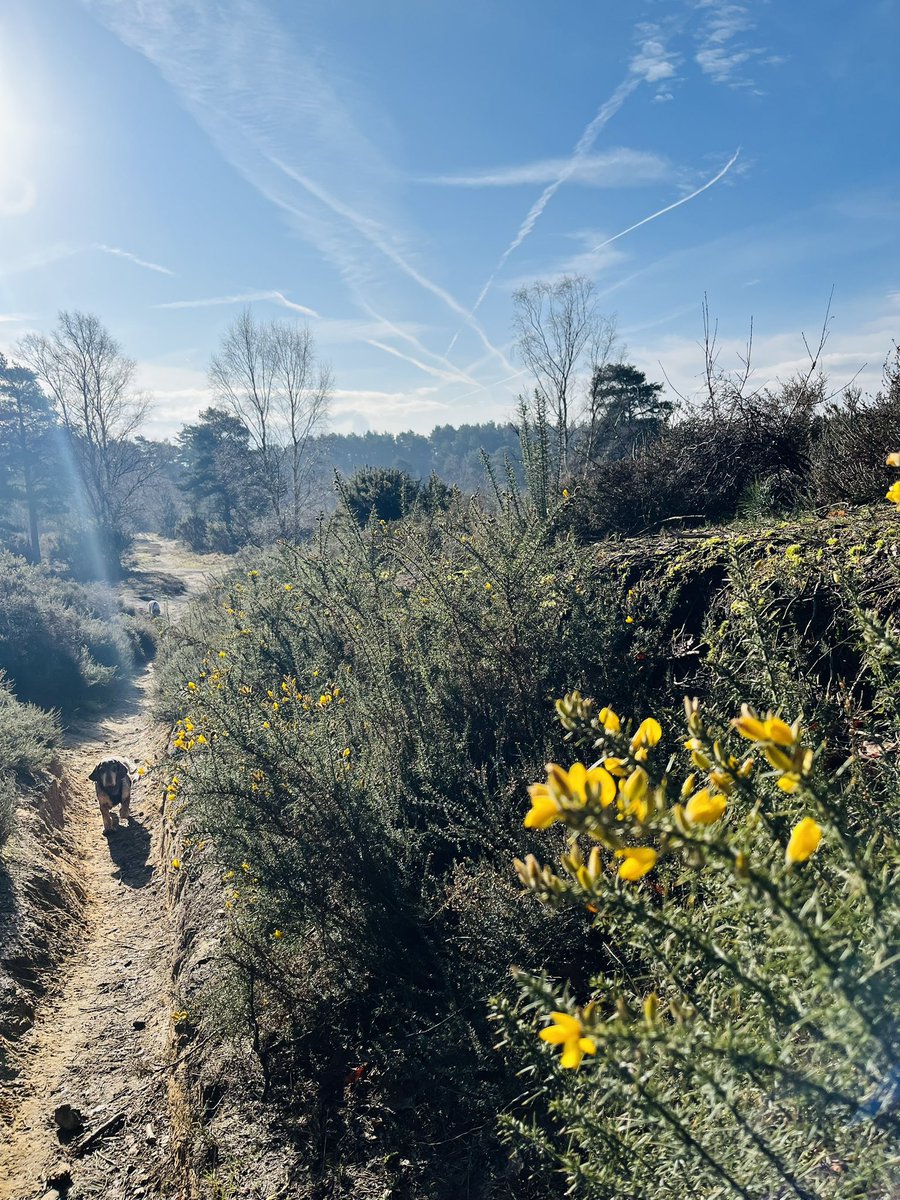 Taking a moment to appreciate what a beautiful morning it is before embarking on my most manic week of the year! #worldbookday2024